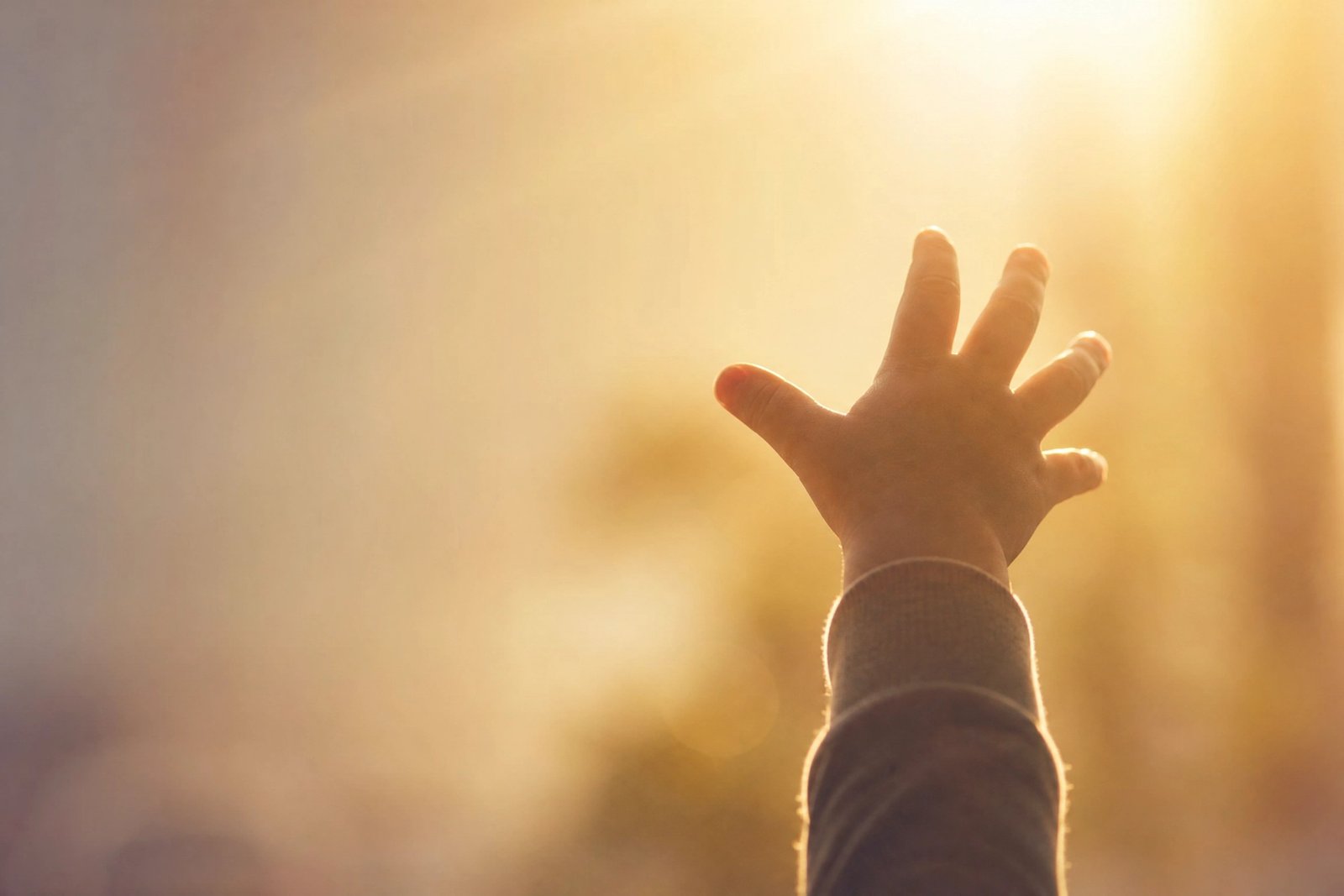 A child's hand reaching toward warm, golden sunlight.